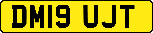 DM19UJT