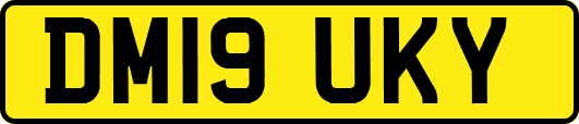 DM19UKY