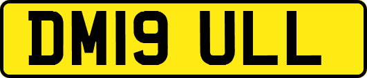 DM19ULL