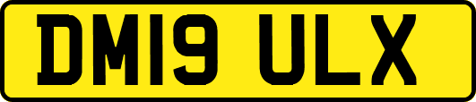 DM19ULX