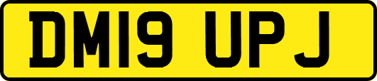 DM19UPJ