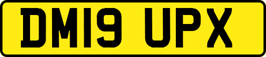 DM19UPX