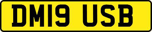 DM19USB