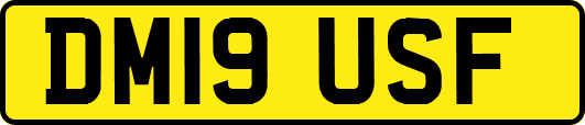 DM19USF