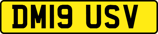 DM19USV