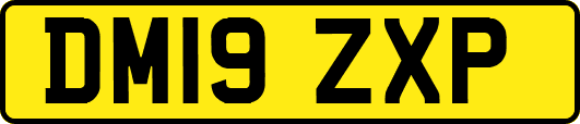 DM19ZXP