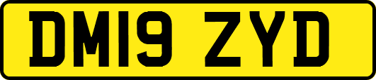 DM19ZYD