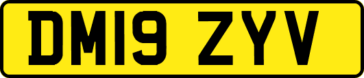 DM19ZYV