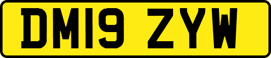 DM19ZYW