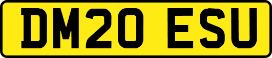 DM20ESU