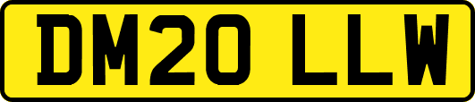 DM20LLW