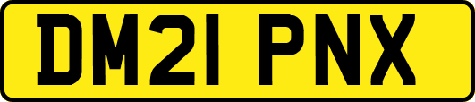 DM21PNX
