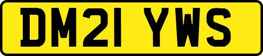 DM21YWS