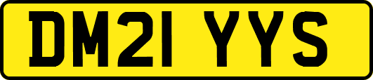 DM21YYS