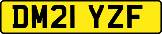 DM21YZF