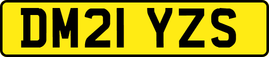 DM21YZS