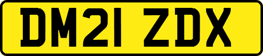 DM21ZDX