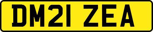 DM21ZEA