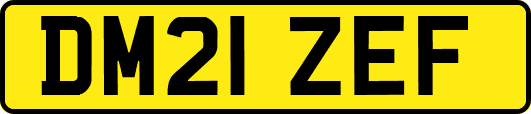DM21ZEF