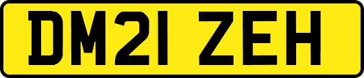 DM21ZEH