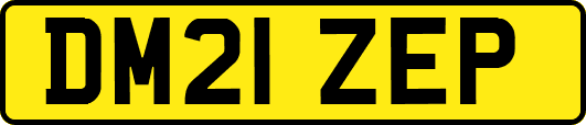 DM21ZEP