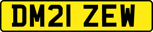 DM21ZEW