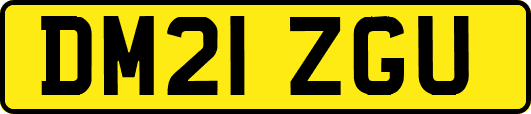 DM21ZGU