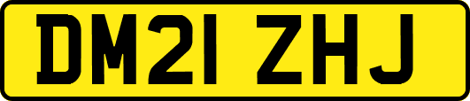 DM21ZHJ