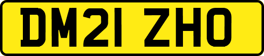 DM21ZHO