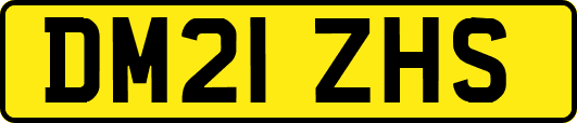 DM21ZHS