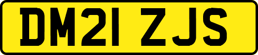 DM21ZJS