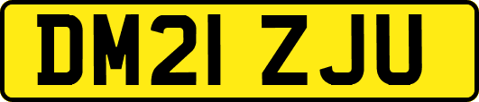 DM21ZJU