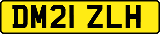 DM21ZLH