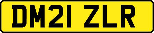 DM21ZLR