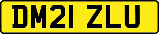 DM21ZLU