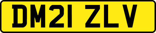 DM21ZLV