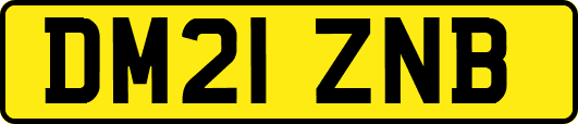 DM21ZNB