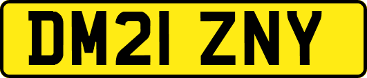 DM21ZNY