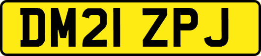 DM21ZPJ