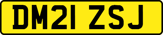 DM21ZSJ