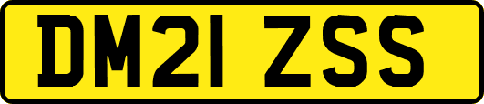DM21ZSS