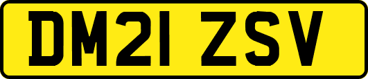 DM21ZSV