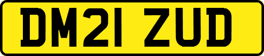 DM21ZUD