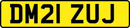 DM21ZUJ