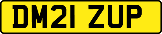 DM21ZUP