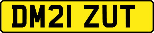 DM21ZUT