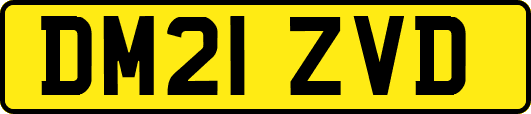 DM21ZVD