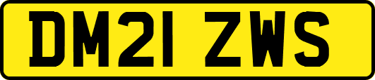 DM21ZWS