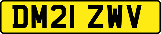 DM21ZWV