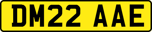 DM22AAE